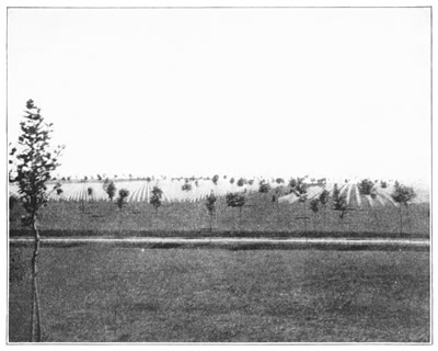 AMERICAN CEMETERY NEAR ROMAGNE