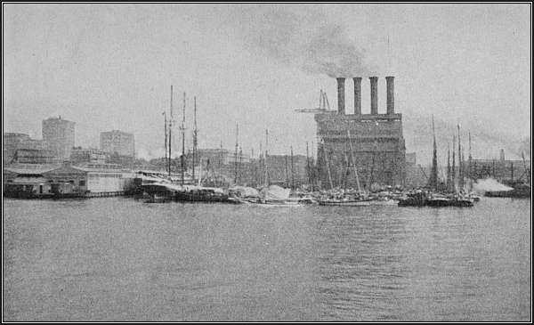 In Baltimore Harbor