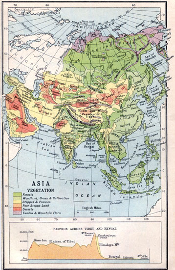 Asia Vegetation