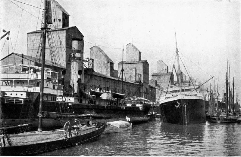 CENTRAL ARGENTINE RAILWAY COMPANY'S GRAIN ELEVATORS AT BUENOS AIRES.