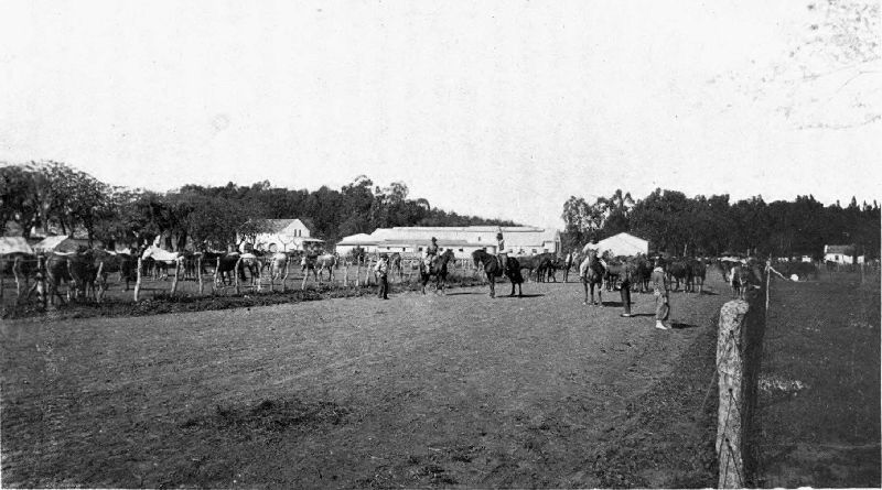 GENERAL VIEW OF AN ESTANCIA.