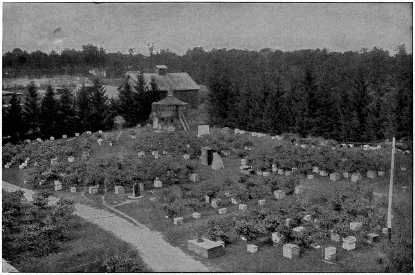 Idyllic garden with bee hives