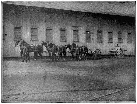 Carriage mounted field gun with team of horses