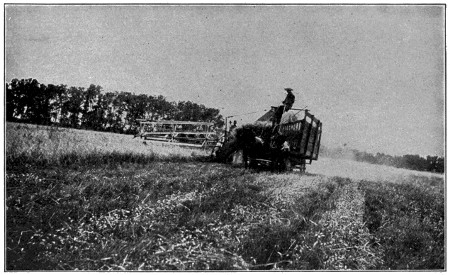 Header binder loading directly into wagon