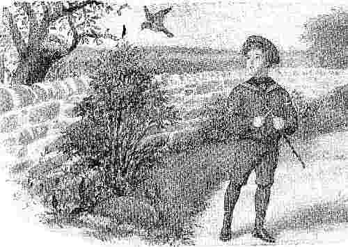 Boy With Bird