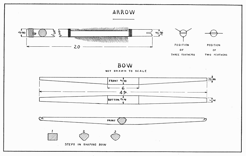 Plate 8