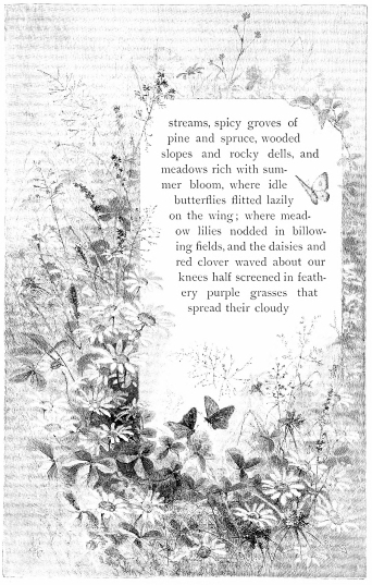 streams, spicy groves of pine and spruce, wooded slopes and rocky dells, and meadows rich with summer bloom, where idle butterflies flitted lazily on the wing; where meadow lilies nodded in billowing fields, and the daisies and red clover waved about our knees half screened in feathery purple grasses that spread their cloudy