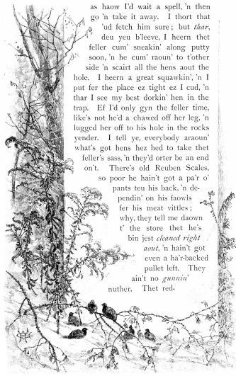 as haow I’d wait a spell, ’n then go ’n take it away. I thort that ’ud fetch him sure; but thar, deu yeu b’leeve, I heern thet feller cum’ sneakin’ along putty soon, ’n he cum’ raoun’ to t’other side ’n scairt all the hens aout the hole. I heern a great squawkin’, ’n I put fer the place ez tight ez I cud, ’n thar I see my best dorkin’ hen in the trap. Ef I’d only gyn the feller time, like’s not he’d a chawed off her leg, ’n lugged her off to his hole in the rocks yender. I tell ye, everybody araoun’ what’s got hens hez hed to take thet feller’s sass, ’n they’d orter be an end on’t. There’s old Reuben Scales, so poor he hain’t got a pa’r o’ pants teu his back, ’n dependin’ on his faowls fer his meat vittles; why, they tell me daown t’ the store thet he’s bin jest cleaned right aout, ’n hain’t got even a ha’r-backed pullet left. They ain’t no gunni’ nuther. Thet red-