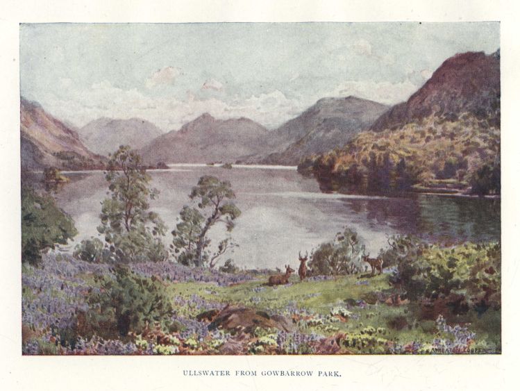 ULLSWATER FROM GOWBARROW PARK.