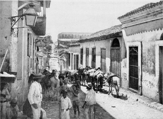 A MULE TRAIN, SANTIAGO DE CUBA. FROM A PHOTOGRAPH BY J. F. COONLEY, NASSAU, N. P.