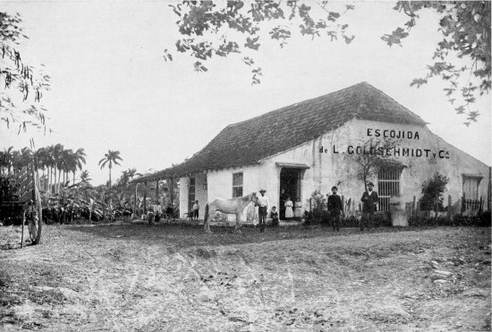 TOBACCO DRYING HOUSE.