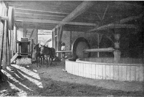 COFFEE MILL, SANTIAGO DE CUBA.