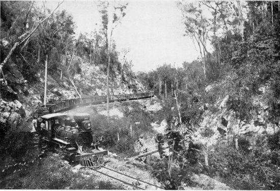 A CURVE ON THE YAGUAJAY RAILROAD.