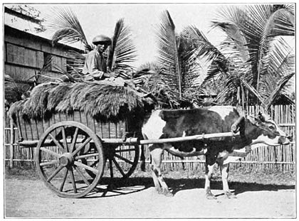 A new-style cart, with broad-tired wheels, which does not injure the roads.