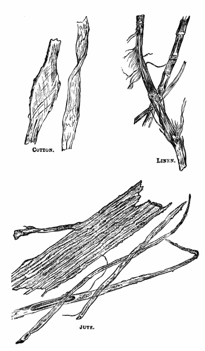 Cloth fibers under the microscope.