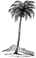 Palm tree