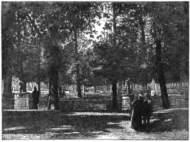 THE CHESTNUTS OF THE TUILERIES.