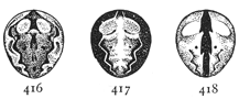 Figs. 416, 417, 418. Markings of the abdomen of Epeira parvula.