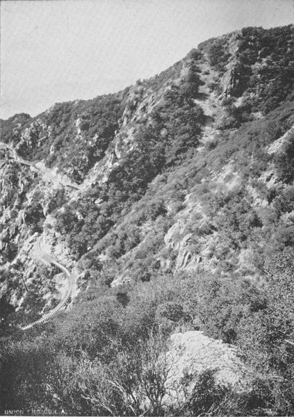 GLIMPSES OF MOUNT LOWE RAILWAY. Grand Circular Bridge at Upper Right Hand Corner.