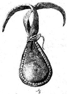 Fig. 433.—Bag containing hoddentin.