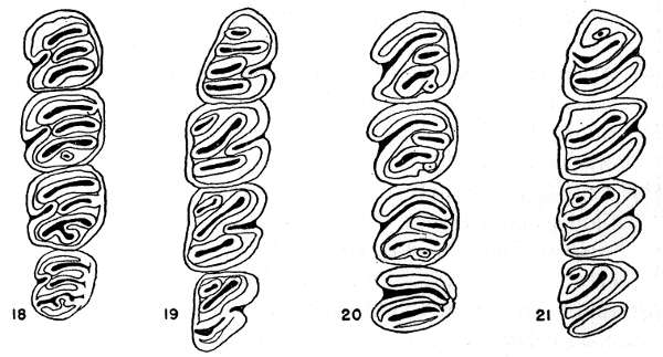 Figs. 18-21.