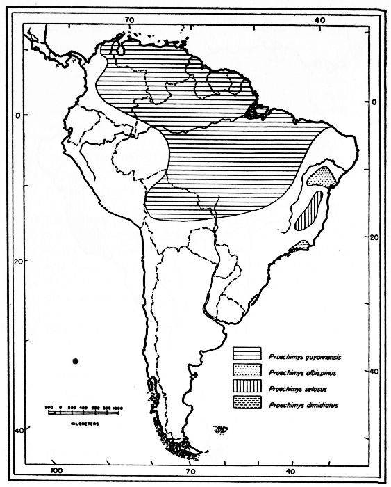 Fig. 23.