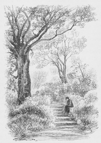 THE OAK WALK, HOLMHURST.