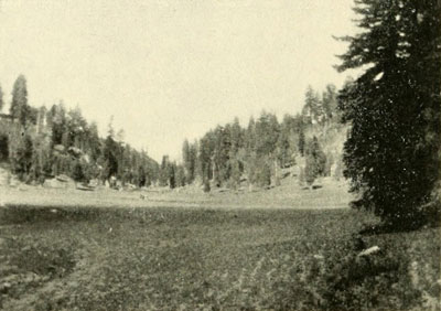 One of the Parks on the Kaibab.