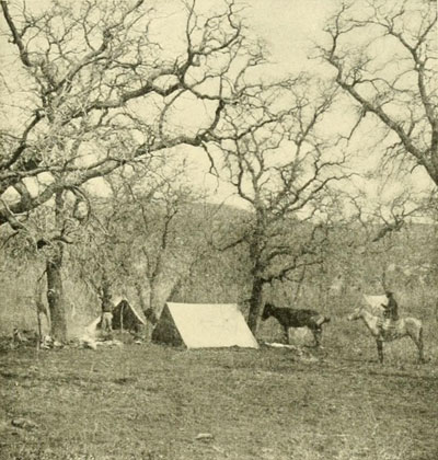 Camp at Oak Spring, Uinkaret Mountains.