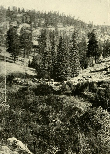 Character of the Mountains and High Plateau Regions of the Basin of the Colorado.