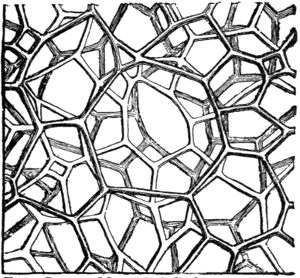 Fig. 26. Thread-lace Scoriæ from Kilauea