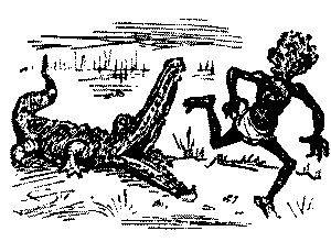 Crocodile chasing man.