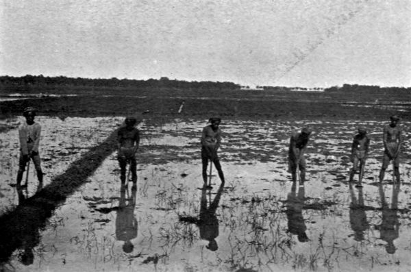 Preparing the village field.