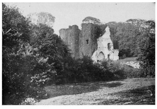 Mallow Castle