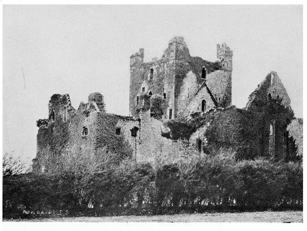 Dunbrody Abbey, County Wexford