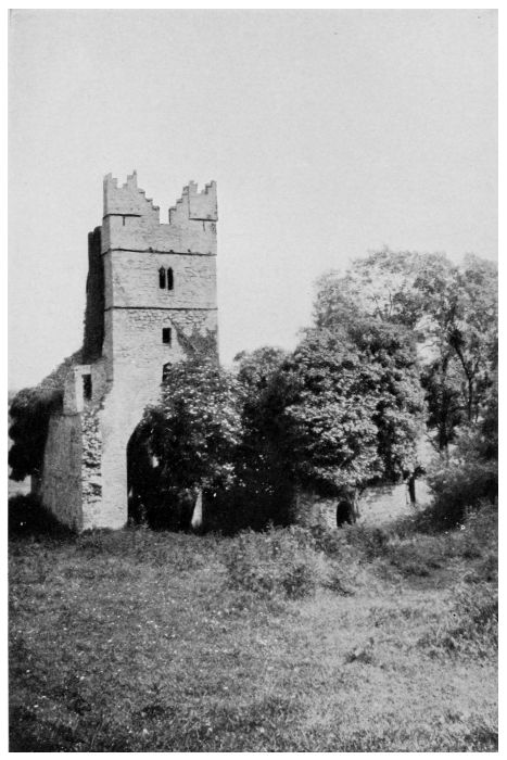 One of the Seven Churches of Clonmines