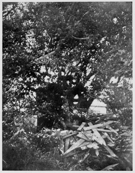 Funeral Crosses by the Wayside