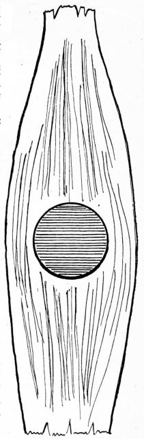 DIAGRAM:—The Baren.—Position of pad in sheath.