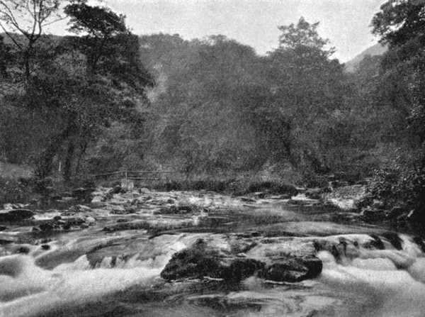 A Typical Devon Stream—Watersmeet, Lynmouth