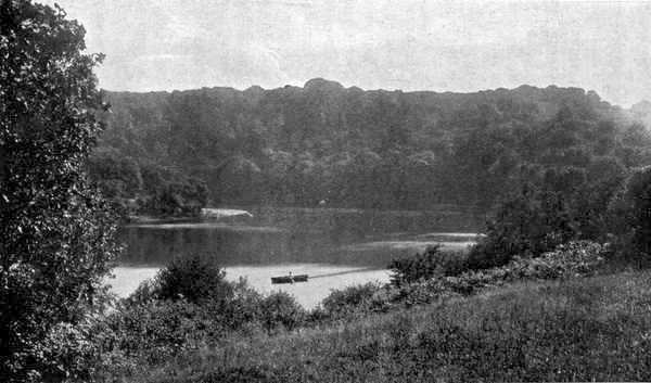 On the Dart; Sharpham Woods