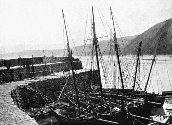 Clovelly Harbour