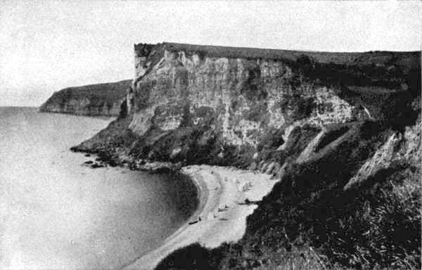 White Cliff, Seaton