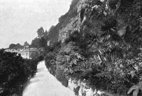 The Winter Garden at Torquay