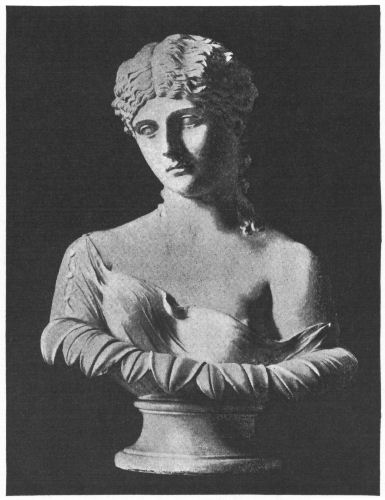 Bust of a young woman