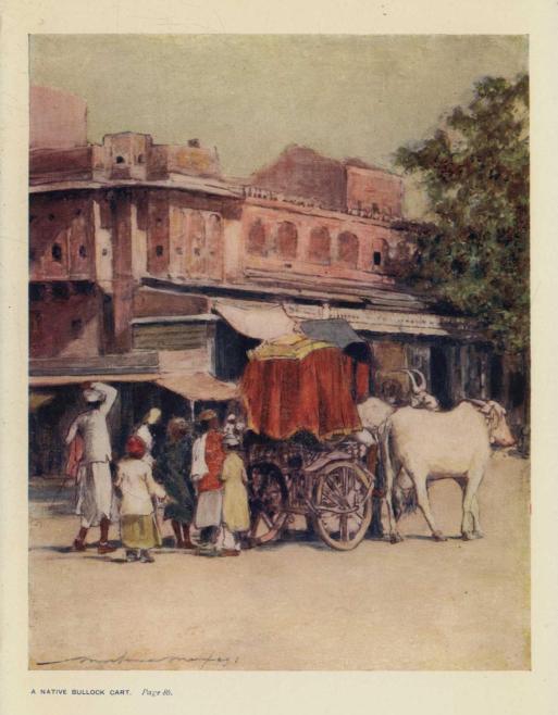 A NATIVE BULLOCK CART. *Page 86*.