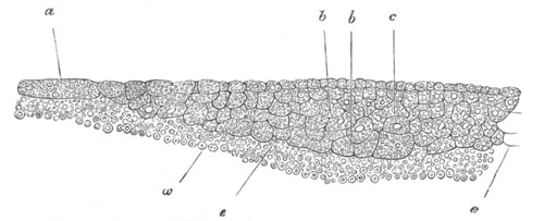 Illustration: Figure 90