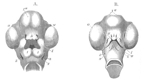 Illustration: Figure 120