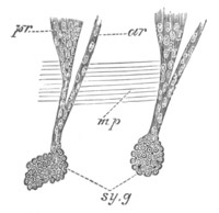 Illustration: Figure 274