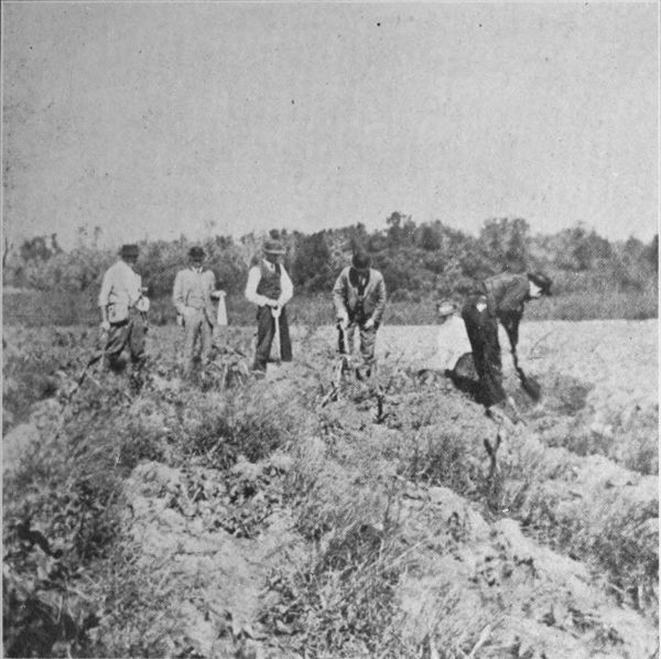 Plate No 1 At research on Ramey Farm in field near Monks Mound, October, 1913