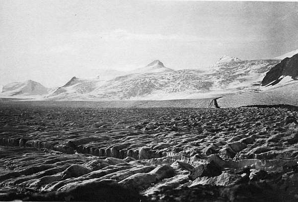 Freshfield Glacier